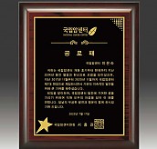 레이저 상패  [JW294-06]