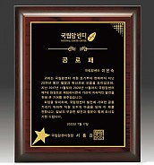 레이저 상패  [JW294-06]