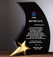 크리스탈 상패  [JW096-01]