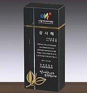 크리스탈 상패  [JW108-04]