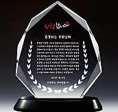WHITE 크리스탈 상패  [JW139-08]
