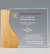 크리스탈 상패  [JW150-05]