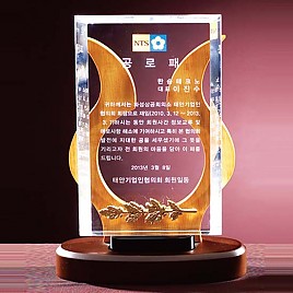 우드 크리스탈 상패  [JW167-08]