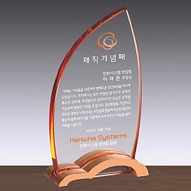 금속조합 크리스탈 상패  [JW104-10]