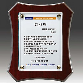 다보 크리스탈 상패  [JW290-03]