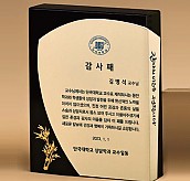 BLACK 크리스탈 상패  [JW277-09]