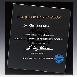 흑경 상패 (특허등록, 실용신안)  [JW217-04]