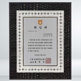 골드 진주펄 이태리 금 상패  [JW210-01]