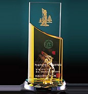 크리스탈 트로피  [JW360-02]