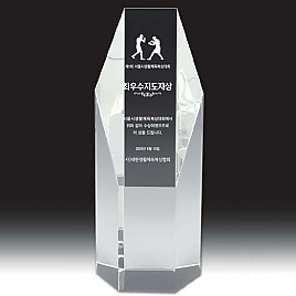 트로피  [JW368-09]