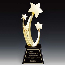 크리스탈 트로피  [JW362-06]