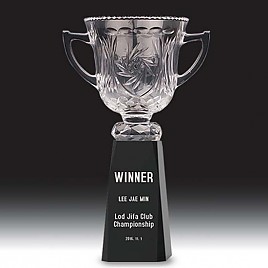 크리스탈 트로피  [JW349-04]