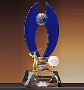 크리스탈 트로피  [JW351-08]