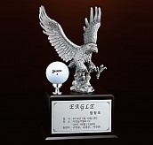 크리스탈 주석 트로피  [JW430-03]