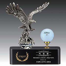 주석 트로피  [JW436-02]