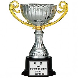 BA707 컵 트로피  [JW453-01]