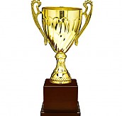 2015컵 우승컵  [JW447-03]