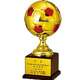 사커볼 우승컵  [JW449-09]