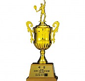 GAC705 컵 트로피  [JW451-04]