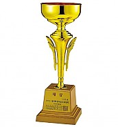 GSC711 컵 트로피  [JW451-07]