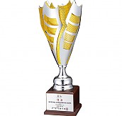 디아블로 우승컵(마크, 케이스 별도)  [JW443-08]