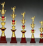 AT107 트로피(케이스 별도)  [JW455-06]