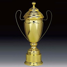 805컵 우승컵  [JW446-02]