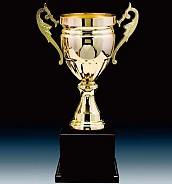 3021컵 우승컵  [JW446-05]