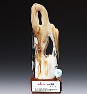 나무화석 골드 트로피  [JW395-03]