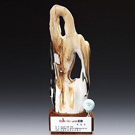 나무화석 골드 트로피  [JW395-03]