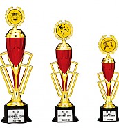 BA157 트로피(케이스 별도)  [JW457-02]