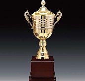 2206컵 우승컵  [JW446-01]