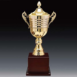 2206컵 우승컵  [JW446-01]