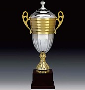 806컵 우승컵  [JW446-03]