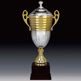 806컵 우승컵  [JW446-03]