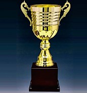 2206컵 우승컵  [JW446-04]