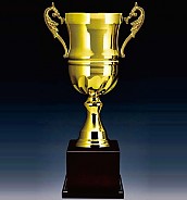 803컵 우승컵  [JW446-06]