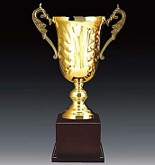 703컵 우승컵  [JW446-08]