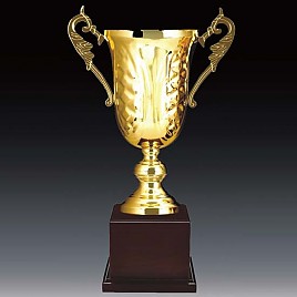 703컵 우승컵  [JW446-08]