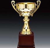 2013컵 우승컵  [JW446-09]