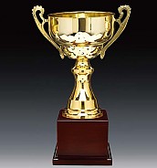 2013컵 우승컵  [JW446-09]