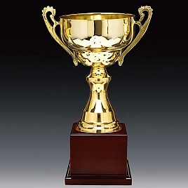 2013컵 우승컵  [JW446-09]