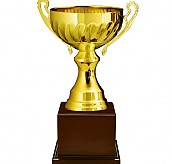 963컵 우승컵  [JW447-01]