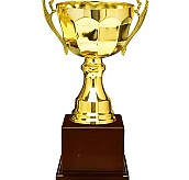 809컵 우승컵  [JW447-02]