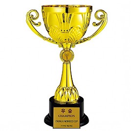 BA913 우승컵  [JW449-02]