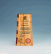 나무 상패 [JW999-01]